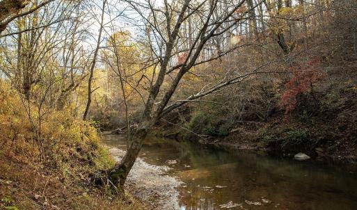 Photo #23 of 273 AIRSPORTS DR, AMHERST, VA 73.4 acres