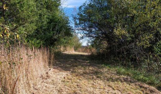 Photo #18 of 273 AIRSPORTS DR, AMHERST, VA 73.4 acres