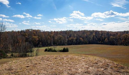 Photo #19 of 273 AIRSPORTS DR, AMHERST, VA 73.4 acres