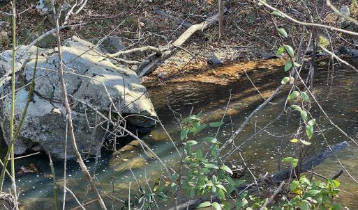 Photo #11 of 273 AIRSPORTS DR, AMHERST, VA 73.4 acres