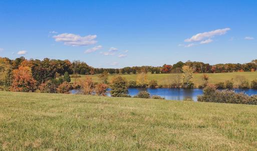Photo #3 of Lot 15 BRIERY CREEK RD, SCOTTSVILLE, VA 24.7 acres