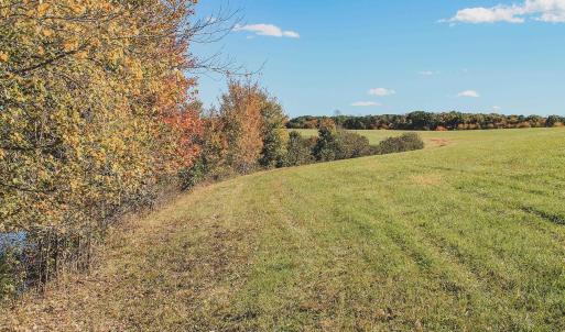 Photo #13 of Lot 15 BRIERY CREEK RD, SCOTTSVILLE, VA 24.7 acres