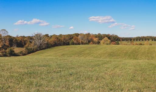 Photo #10 of Lot 15 BRIERY CREEK RD, SCOTTSVILLE, VA 24.7 acres