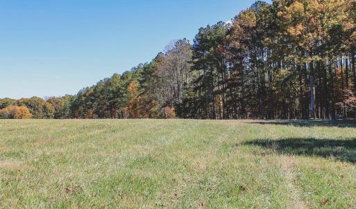 Photo #30 of Lot 15 BRIERY CREEK RD, SCOTTSVILLE, VA 24.7 acres