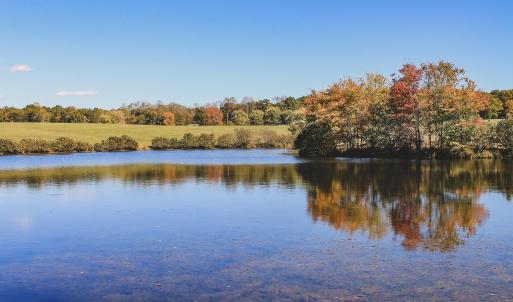 Photo #6 of Lot 15 BRIERY CREEK RD, SCOTTSVILLE, VA 24.7 acres