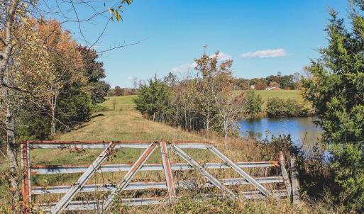 Photo #5 of Lot 15 BRIERY CREEK RD, SCOTTSVILLE, VA 24.7 acres