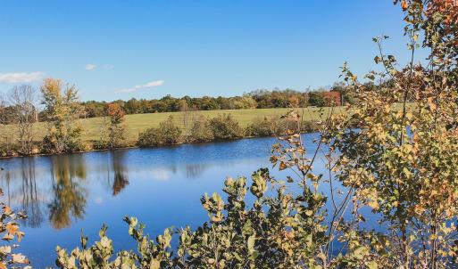Photo #8 of Lot 15 BRIERY CREEK RD, SCOTTSVILLE, VA 24.7 acres