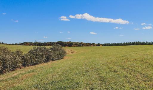 Photo #34 of Lot 15 BRIERY CREEK RD, SCOTTSVILLE, VA 24.7 acres
