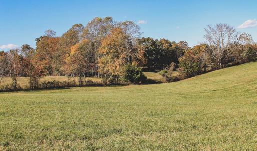 Photo #14 of Lot 15 BRIERY CREEK RD, SCOTTSVILLE, VA 24.7 acres