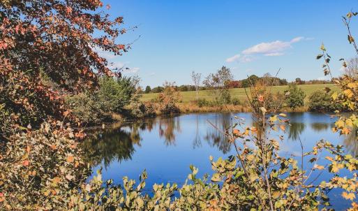 Photo #9 of Lot 15 BRIERY CREEK RD, SCOTTSVILLE, VA 24.7 acres