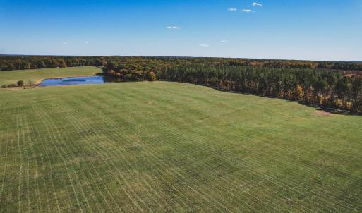 Photo #21 of Lot 15 BRIERY CREEK RD, SCOTTSVILLE, VA 24.7 acres