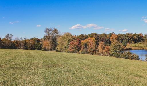Photo #12 of Lot 15 BRIERY CREEK RD, SCOTTSVILLE, VA 24.7 acres
