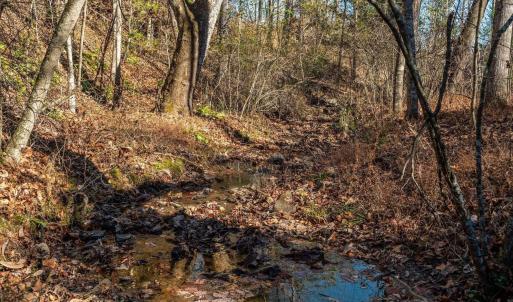 Photo #46 of 6424 FREE UNION RD, FREE UNION, VA 34.7 acres