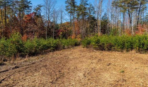 Photo #26 of 6424 FREE UNION RD, FREE UNION, VA 34.7 acres