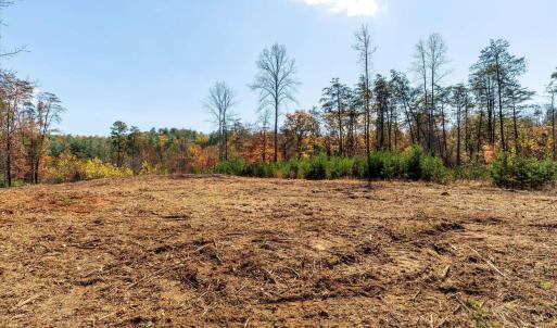 Photo #28 of 6424 FREE UNION RD, FREE UNION, VA 34.7 acres