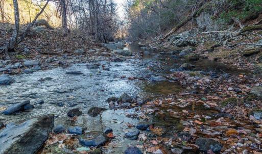 Photo #54 of 6424 FREE UNION RD, FREE UNION, VA 34.7 acres