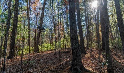 Photo #48 of 6424 FREE UNION RD, FREE UNION, VA 34.7 acres