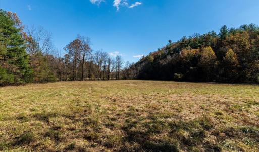 Photo #20 of 6424 FREE UNION RD, FREE UNION, VA 34.7 acres