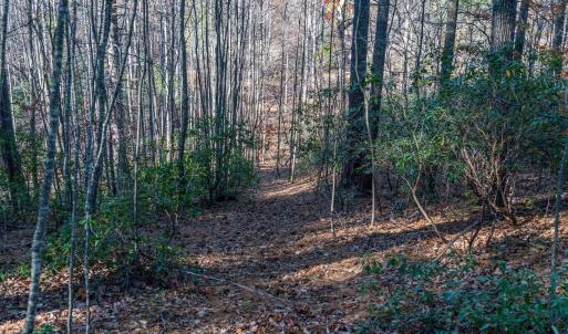 Photo #41 of 6424 FREE UNION RD, FREE UNION, VA 34.7 acres