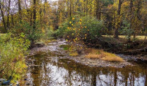 Photo #17 of 6424 FREE UNION RD, FREE UNION, VA 34.7 acres