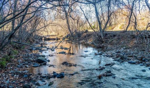 Photo #53 of 6424 FREE UNION RD, FREE UNION, VA 34.7 acres