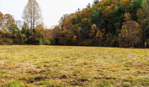 Photo #16 of 6424 FREE UNION RD, FREE UNION, VA 34.7 acres