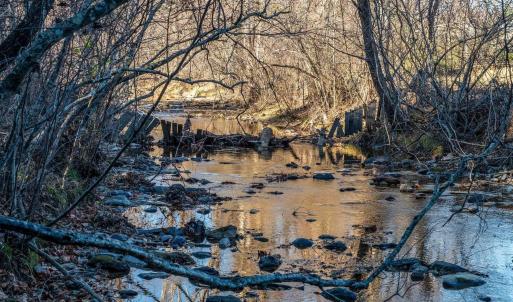 Photo #49 of 6424 FREE UNION RD, FREE UNION, VA 34.7 acres