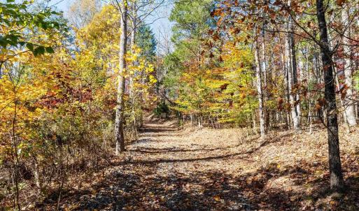 Photo #24 of 6424 FREE UNION RD, FREE UNION, VA 34.7 acres