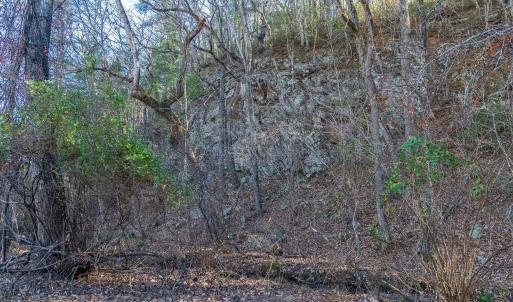 Photo #51 of 6424 FREE UNION RD, FREE UNION, VA 34.7 acres