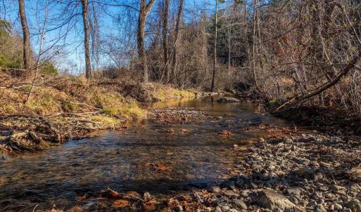 Photo #18 of 6424 FREE UNION RD, FREE UNION, VA 34.7 acres