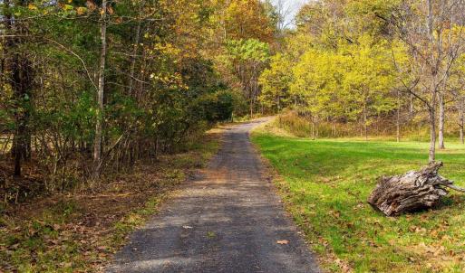 Photo #13 of 6424 FREE UNION RD, FREE UNION, VA 34.7 acres