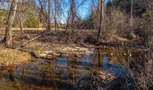 Photo #50 of 6424 FREE UNION RD, FREE UNION, VA 34.7 acres