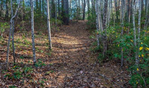 Photo #42 of 6424 FREE UNION RD, FREE UNION, VA 34.7 acres