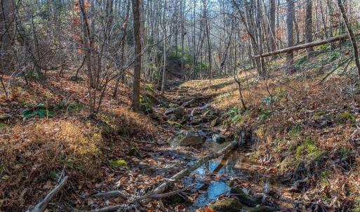 Photo #45 of 6424 FREE UNION RD, FREE UNION, VA 34.7 acres