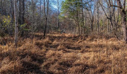 Photo #43 of 6424 FREE UNION RD, FREE UNION, VA 34.7 acres