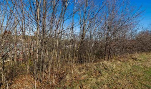 Photo #15 of 2132 WILLOW HILL DR, HARRISONBURG, VA 0.3 acres
