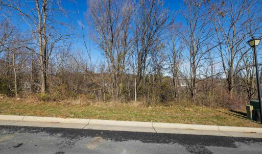 Photo #20 of 2132 WILLOW HILL DR, HARRISONBURG, VA 0.3 acres