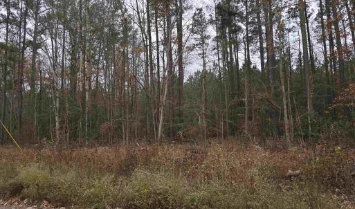 Photo #1 of 16 EVERGREEN DR, COLONIAL BEACH, VA 0.2 acres