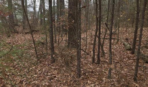 Photo #1 of 17 EVERGREEN DR, COLONIAL BEACH, VA 0.2 acres