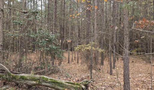 Photo #1 of 18 EVERGREEN DR, COLONIAL BEACH, VA 0.2 acres