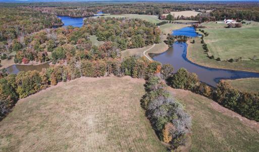 Photo #7 of Lot 14 BRIERY CREEK RD, SCOTTSVILLE, VA 24.0 acres