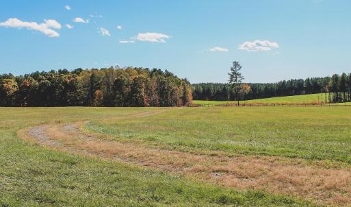 Photo #33 of Lot 14 BRIERY CREEK RD, SCOTTSVILLE, VA 24.0 acres