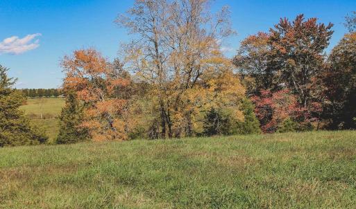 Photo #35 of Lot 14 BRIERY CREEK RD, SCOTTSVILLE, VA 24.0 acres