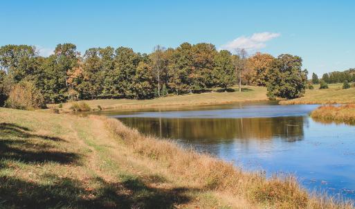 Photo #13 of Lot 14 BRIERY CREEK RD, SCOTTSVILLE, VA 24.0 acres