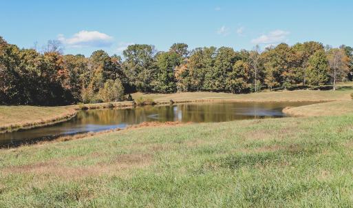 Photo #14 of Lot 14 BRIERY CREEK RD, SCOTTSVILLE, VA 24.0 acres