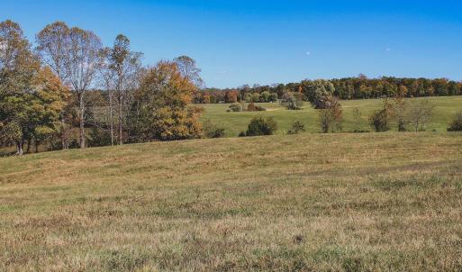 Photo #42 of Lot 14 BRIERY CREEK RD, SCOTTSVILLE, VA 24.0 acres