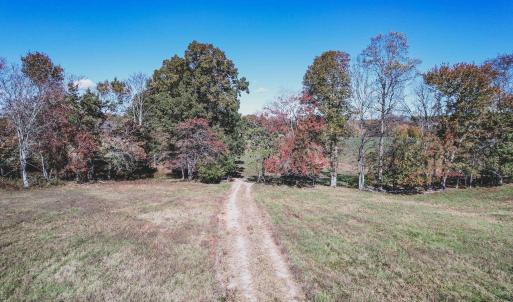 Photo #8 of Lot 14 BRIERY CREEK RD, SCOTTSVILLE, VA 24.0 acres