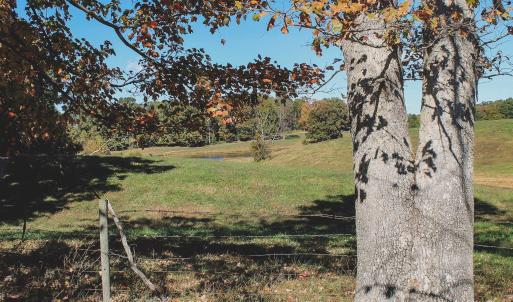 Photo #40 of Lot 14 BRIERY CREEK RD, SCOTTSVILLE, VA 24.0 acres