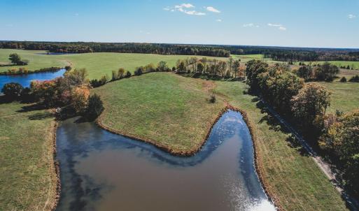 Photo #4 of Lot 14 BRIERY CREEK RD, SCOTTSVILLE, VA 24.0 acres