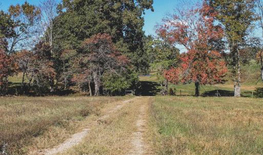 Photo #11 of Lot 14 BRIERY CREEK RD, SCOTTSVILLE, VA 24.0 acres